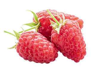 Fresh raspberry isolated on white background. Clipping path