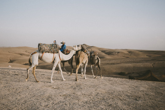 Moroccan dream