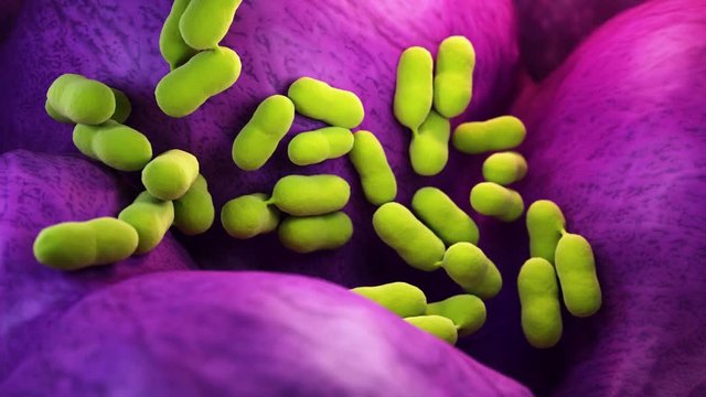 medically accurate 3d animation of listeria bacteria