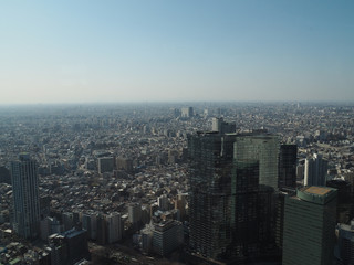 Fototapeta premium Tokyo city from high building