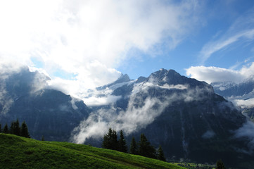 スイスの草原