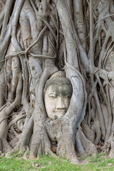 タイ・アユタヤ・遺跡・涅槃像・世界遺産・ワット・プラ・マハタート