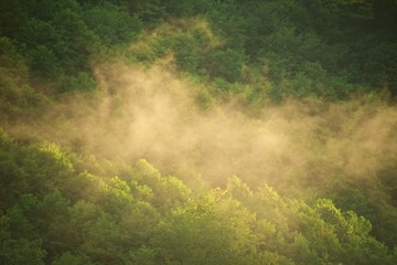 Fototapeta na wymiar Mountains after rain. Summer season. Valley of the river. Fog over forest.