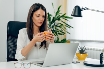 Young female business person working in office using laptop, reading and searching information attentively, drinking coffee