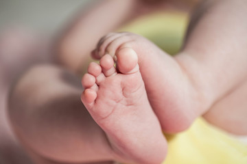 Close up of newborn baby feet. Baby legs on a pink background. The legs of a child on a knitted plaid. Cozy.