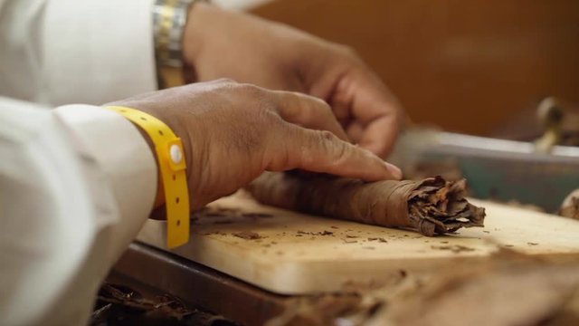 Cuban master roller hand rolling cigars. Handmade tobacco