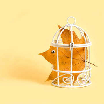 Dry maple leaf as bird in cage. Photographic story, part 1