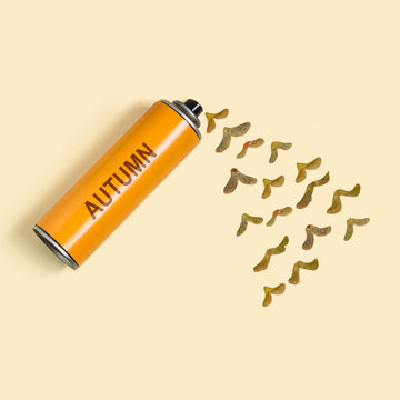 Maple seeds fly like birds from spray can with inscription: autumn