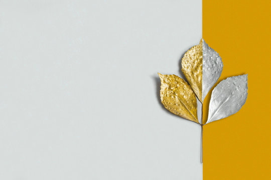 Silver and gold branch with leaves on two-color background