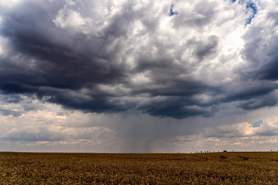Scenic view of heavy clouds on blue sky background over yellow field. Photo of approaching storm in summer.