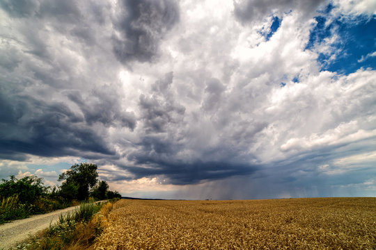 Scenic view of heavy clouds on blue sky background over yellow field. Photo of approaching storm in summer.