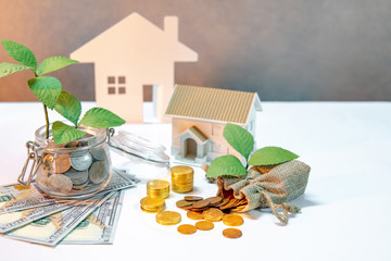 Real estate investment or property ladder. Home mortgage loan rate. Saving money for future concept. Plant growing out of coins in glass jar with dollar banknotes, money bag and house model on table