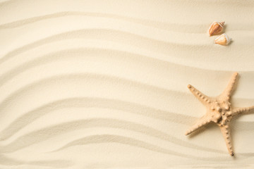 Fototapeta na wymiar top view of arranged seashells and sea star on sandy surface