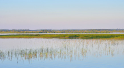 Wetland lake Sestroretsky Razliv at sunset.