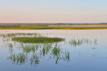 Wetland lake Sestroretsky Razliv at sunset.