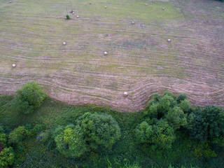 A beautiful view of the forest and fields from above. Drone photography 