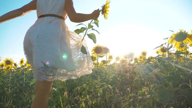 Happy little girl runs happy free across the field with sunflowers. slow motion video. smelling big sunflower on summer field. Delight of a pleasant smell. Summer lifestyle holiday. concept happiness