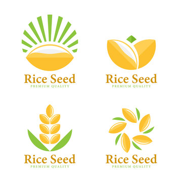 Wheat Rice seed logo sign vector set design