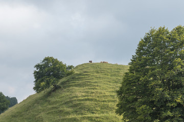 trekking in trentino