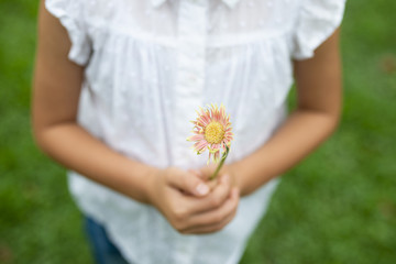 花を差し出す女の子