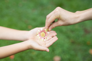 花を手渡す親子