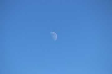 Moon