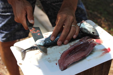 ソウダガツオの3枚おろし