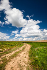 Fototapeta na wymiar Empty countryside road through fields with wheat