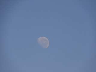 Fototapeta premium Luna de dia
