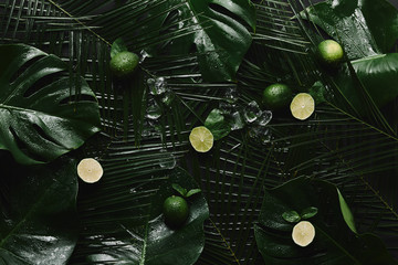 top view of whole and sliced limes, ice cubes and beautiful green tropical leaves