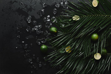 top view of whole and sliced limes, ice cubes and beautiful green palm leaves on black