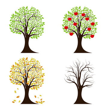  Vector Tree in four seasons - Spring, summer, autumn