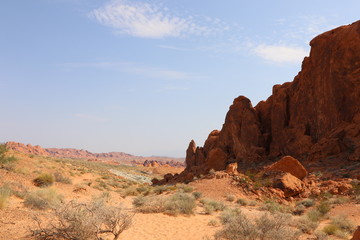 Fototapeta premium Wüste