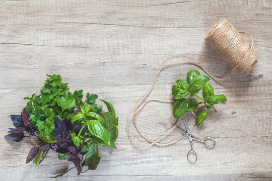 Parsley and basil bunch of bouquets, scissors and rope cord on light wooden surface.