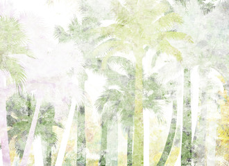 tropical palm grunge background
