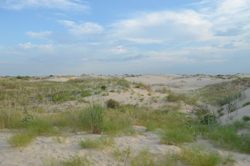 Fototapeta na wymiar Monaghan's Sandhills State Park, Tx. Grassy areas in the sand dunes