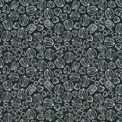Black Board. Hazelnut and Walnut Seamless Endless Pattern. Whole and Peeled Hazelnut. Autumn or Fall Harvest Collection. Realistic Hand Drawn High Quality Vector Illustration. Doodle Style.