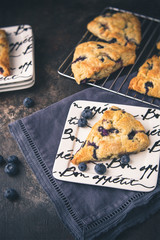 Homemade Blueberry Scones on a White Bon Appetite Dish; More Scones in Background on Wire Rack; Deep Blue Napkin; Black Background