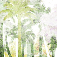 tropical palm grunge background
