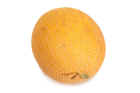 Big juicy melon on a white background