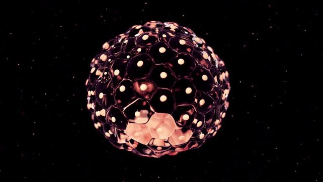 3d rendered medically accurate animation of a blastocyst
