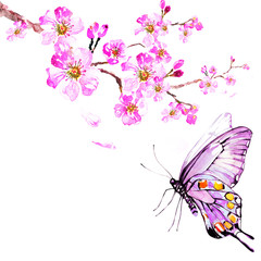 sakura tree; watercolor, cherry bloom