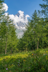 Cervino - Breuil Cervinia