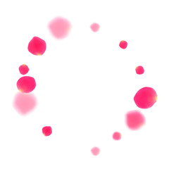 Pink rose petals falling vector valentine background.