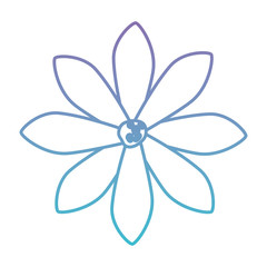 beautiful flower garden icon vector illustration design