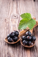 Two wooden spoons with fresh black currant and green leaf on rustic old background.