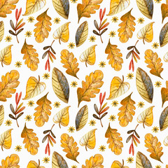 Seamless watercolor pattern on the autumn theme. Watercolor floral background