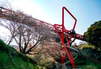 中尾城公園　桜