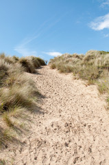 Sand dunes in the summertime.