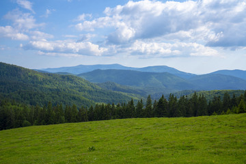 Fototapeta na wymiar Mountain Apuseni Zona Padis Romania on the peak
